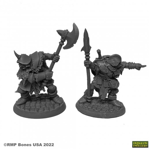 [07014] Dungeon Dwellers: Orc Warriors (2)
