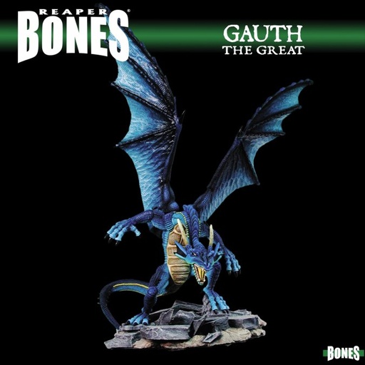 [77655] Gauth